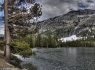 Ellery Lake - Panorama